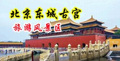 深插叫出声吃奶黄片中国北京-东城古宫旅游风景区