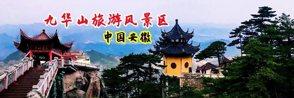 日外国女人的小逼