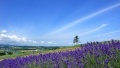 看操老逼视频日本一地6日游  境外旅游 6880元/人