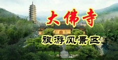 大鸡巴操逼游戏中国浙江-新昌大佛寺旅游风景区