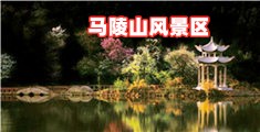 操屄里面的好视频